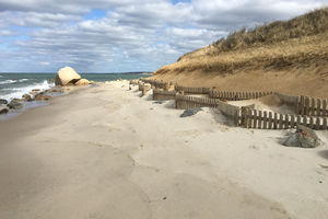 Residential Sand Drift Fence And Beach Nourishment Thumb