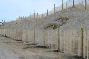 West Dennis Beach And Swan Pond River Dune Construction Thumb